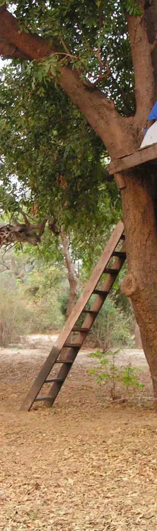 South Luangwa National Park